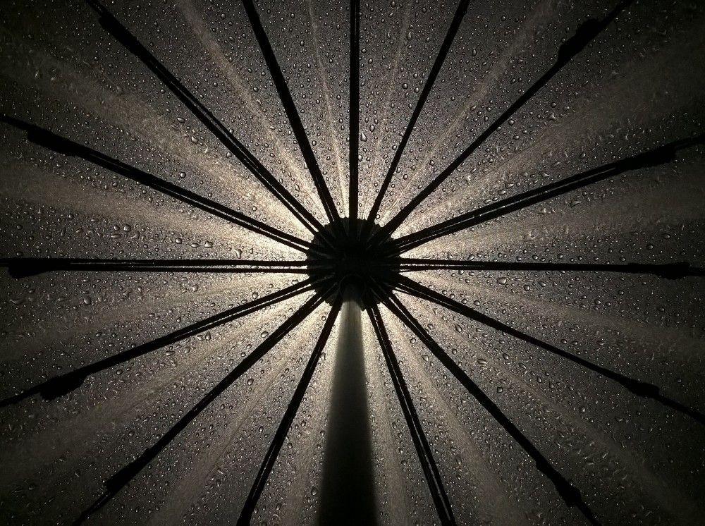 Чёрное солнце