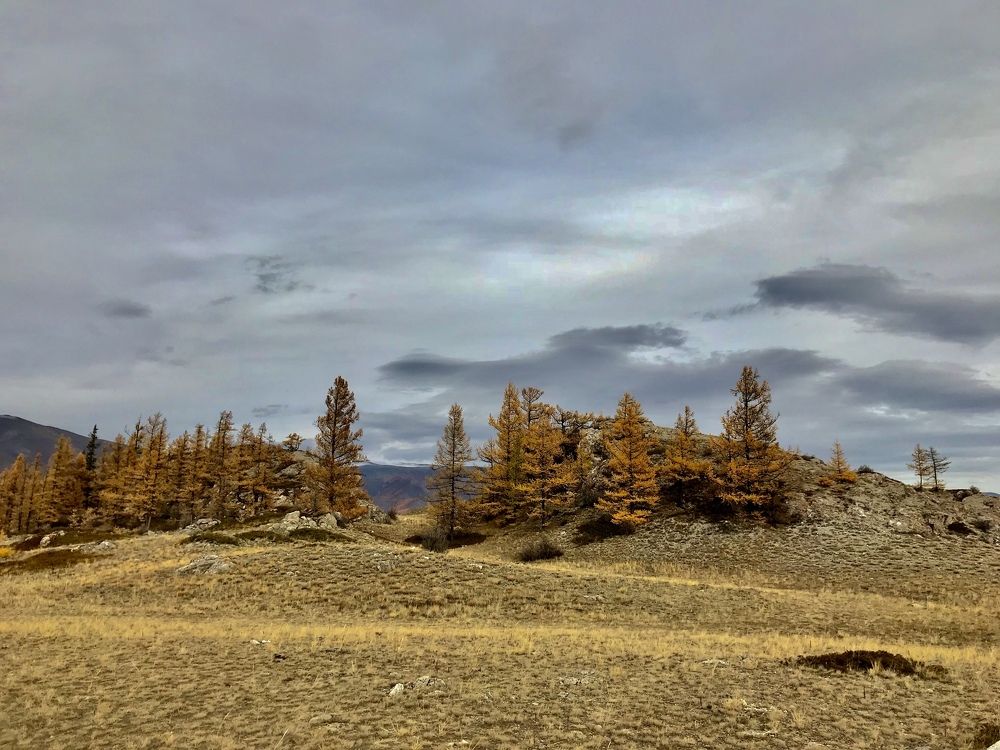 Алтай. Октябрь 5