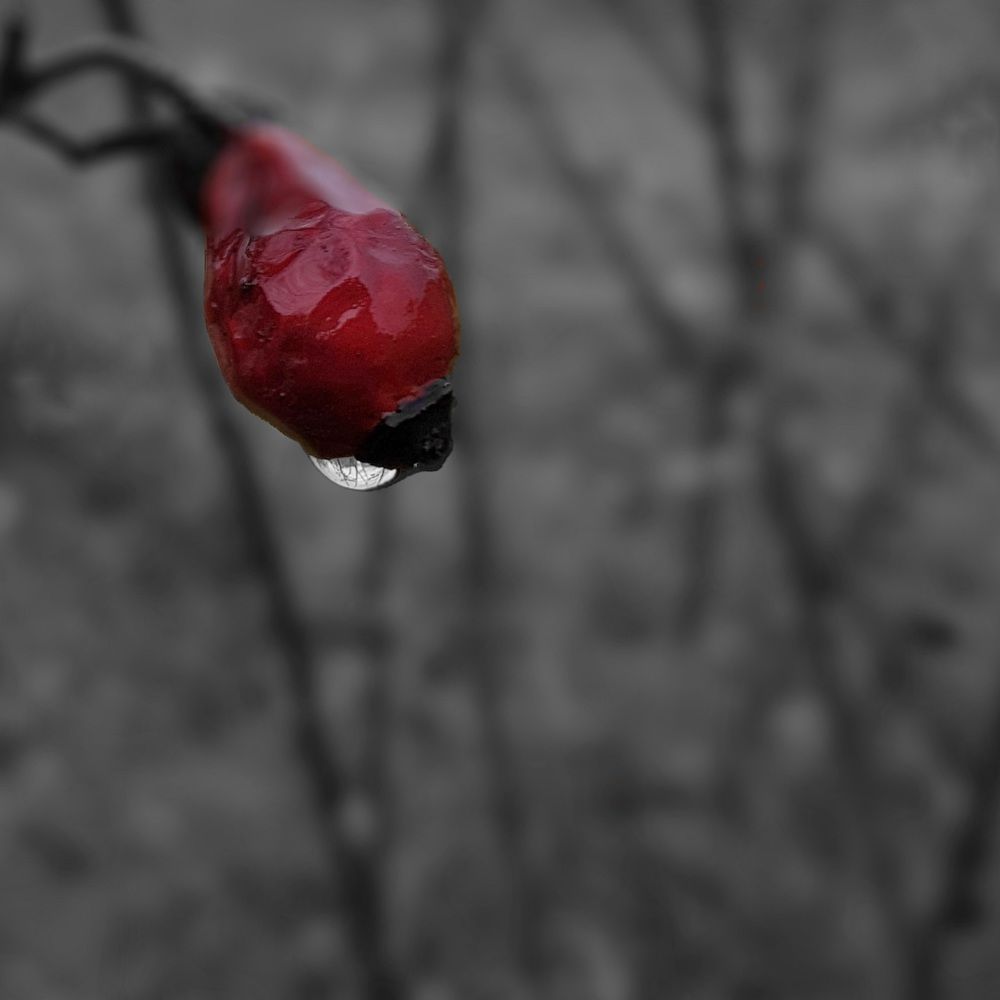 Прогулка под дождем