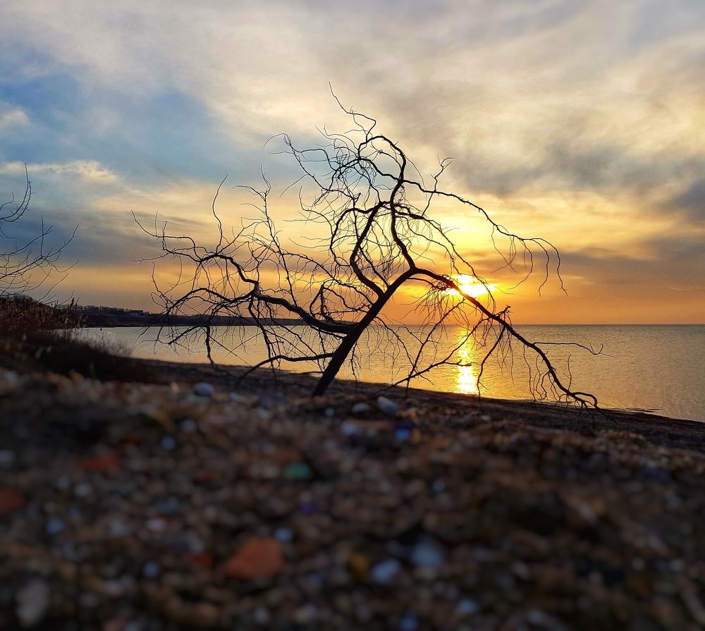 Ожидание лета