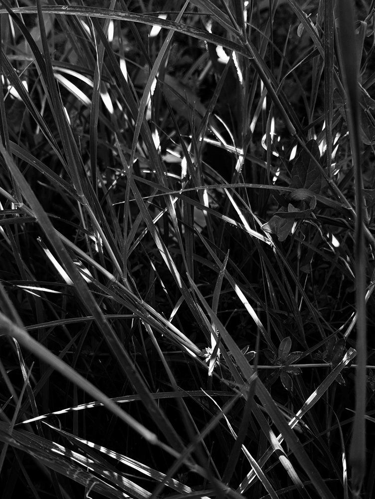 Природа - художник