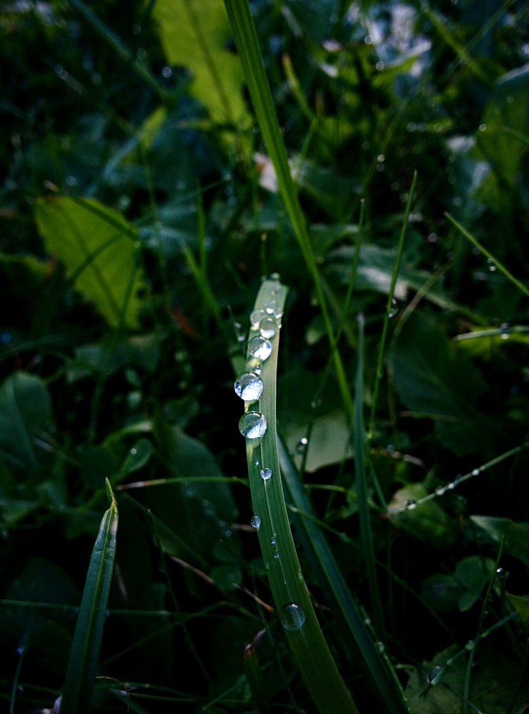 Кристальные сферы