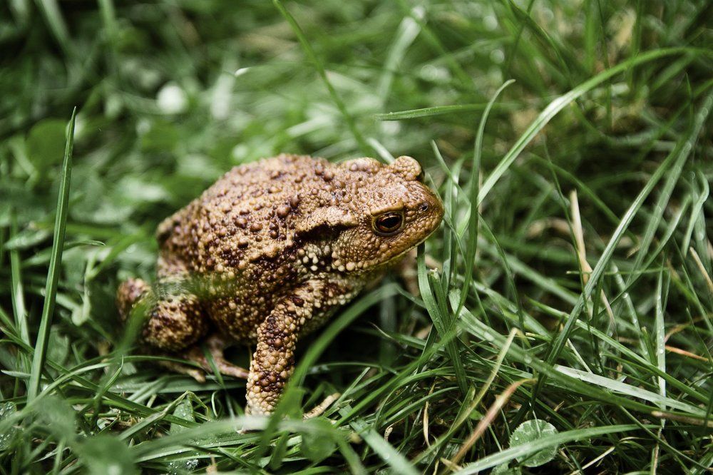 Фотография автора Гудкова Светлана