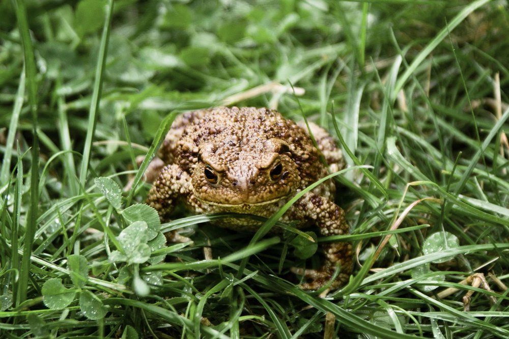 Фотография автора Гудкова Светлана