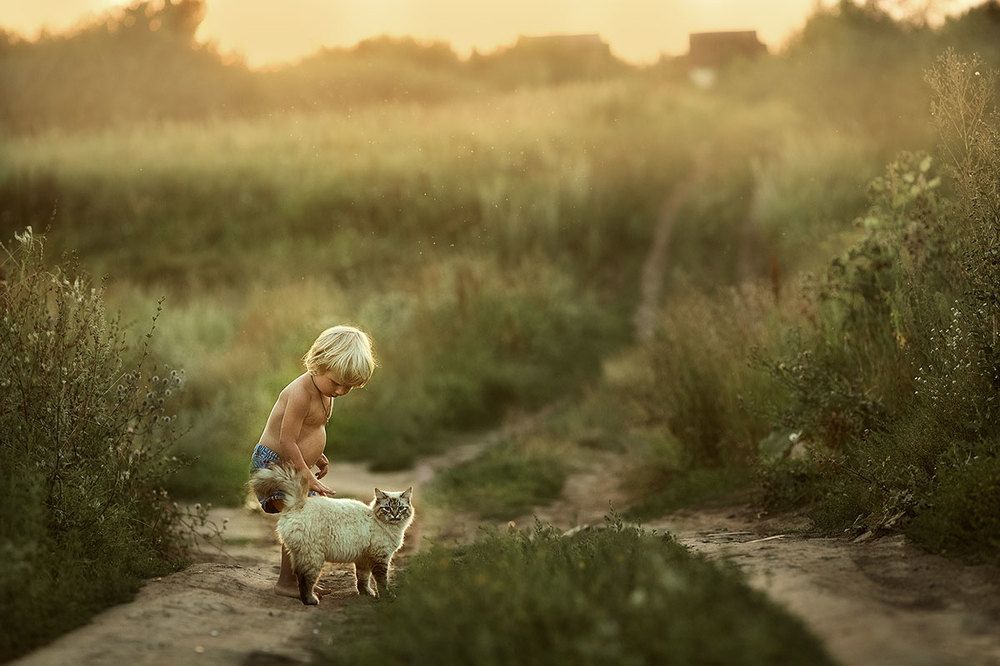 Мальчик и кот