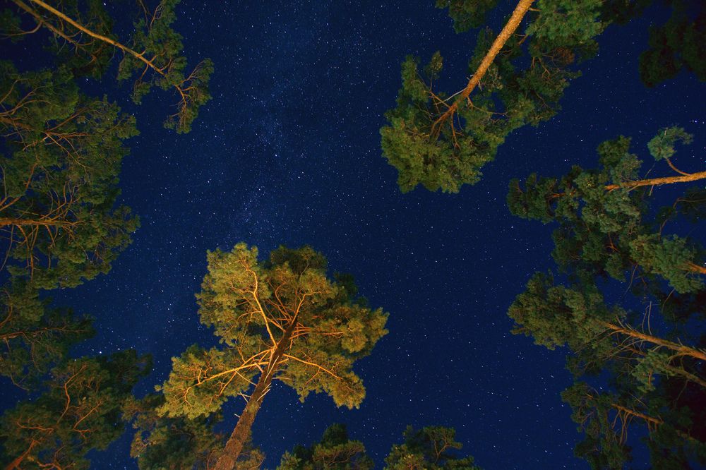 Небо Горного Алтая