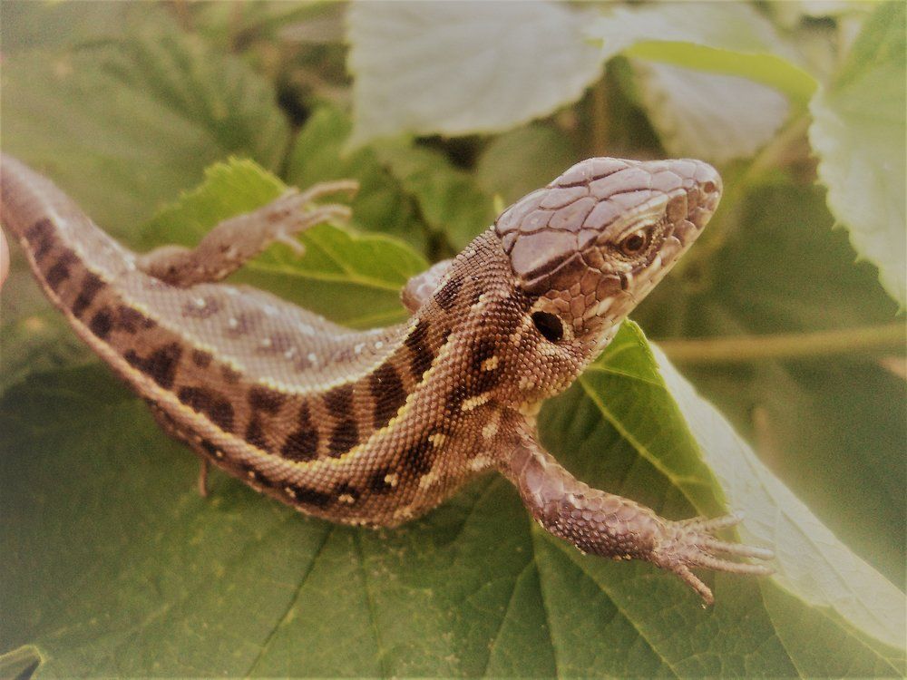 Photograph by Ангеліна