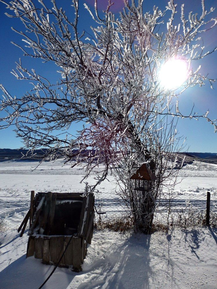 Крымская зима