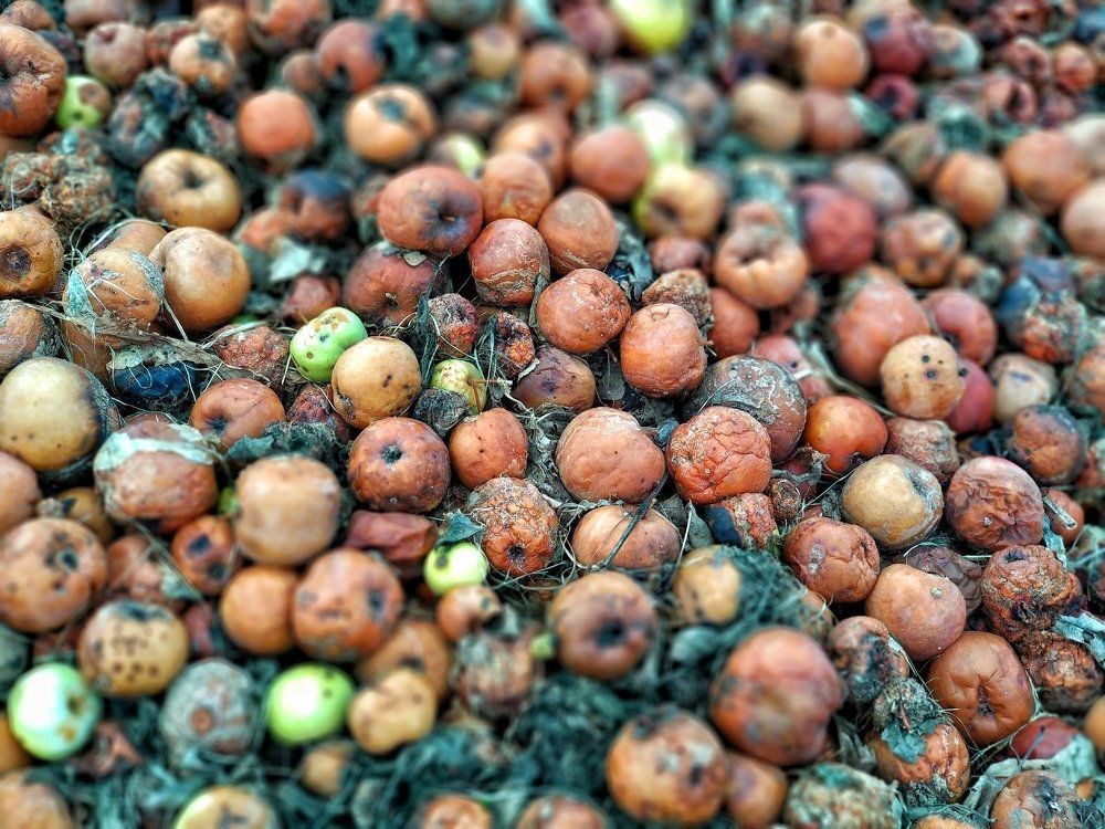 Нужны пока их мало