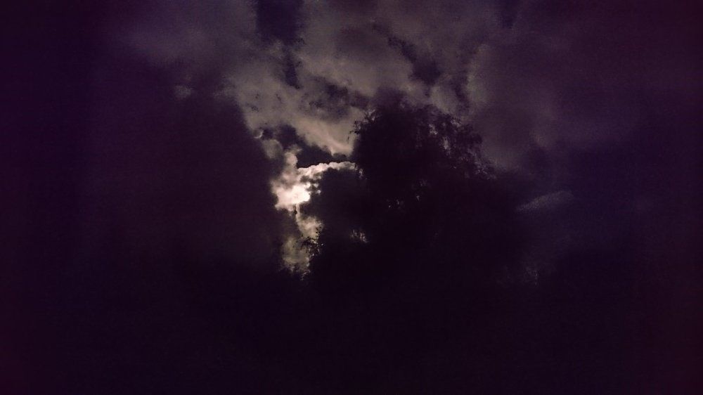 туманность черняховска