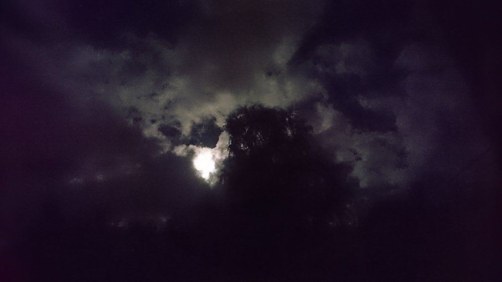 туманность черняховска 2