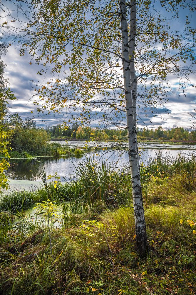 Осенний этюд