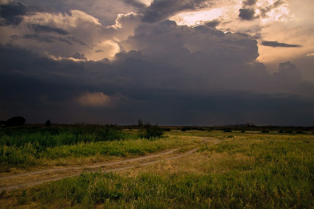 Перед грозой.