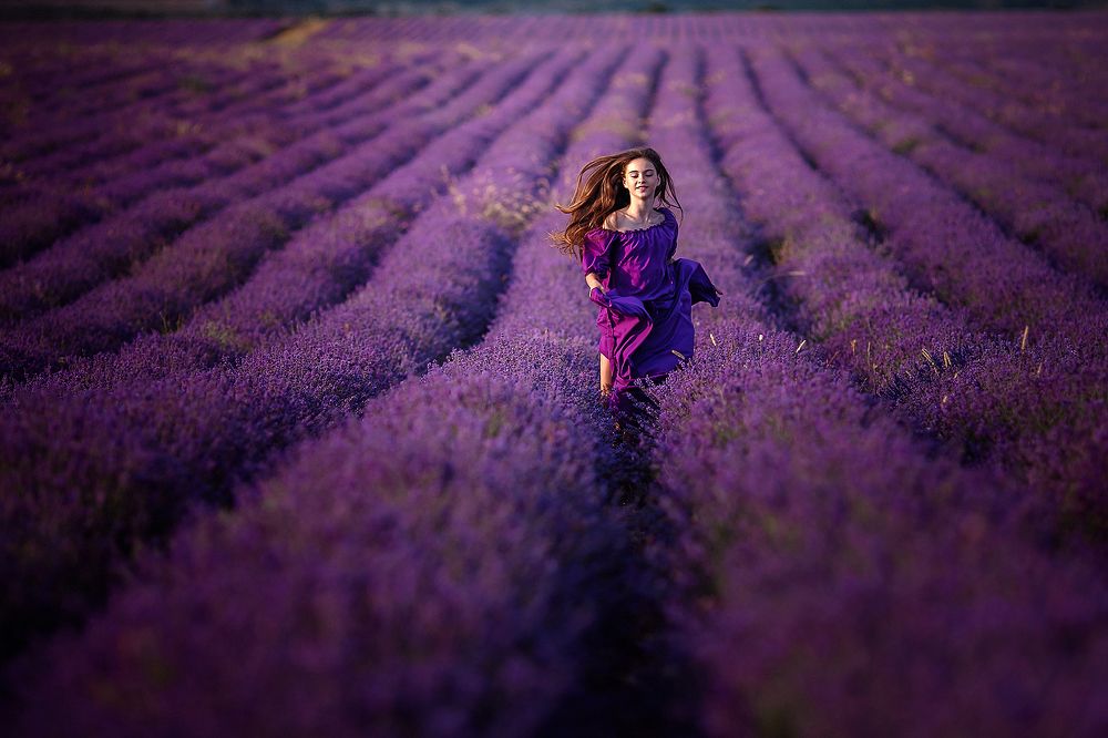 Бескрайние поля свободы