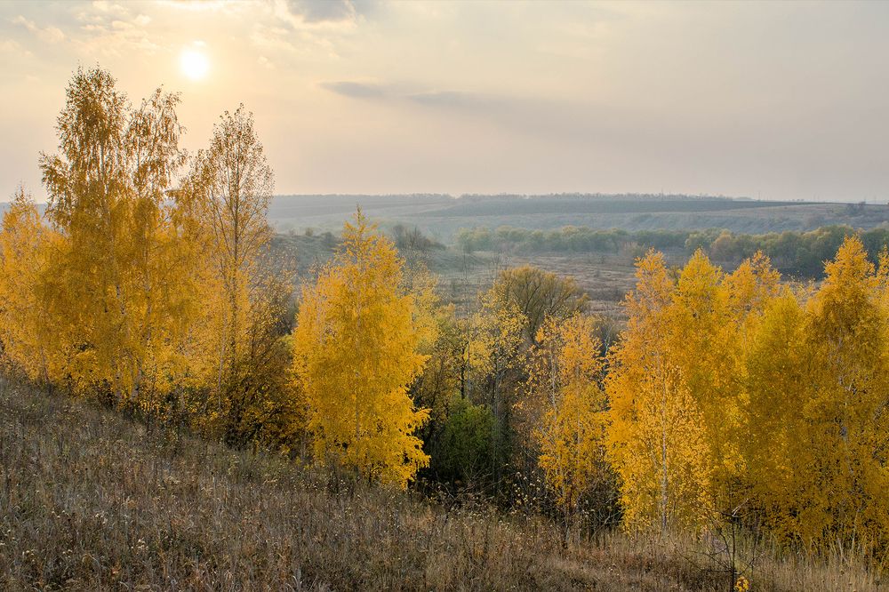 Золотая осень.