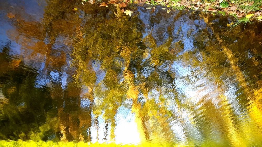 Осенний пейзаж