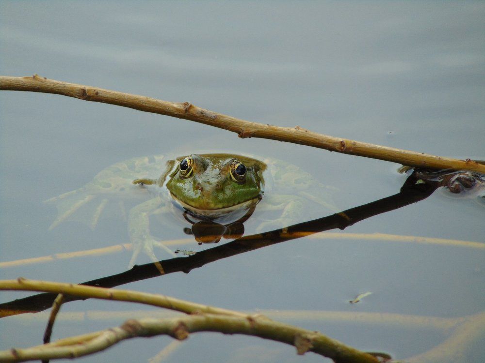 Photograph by Валерий