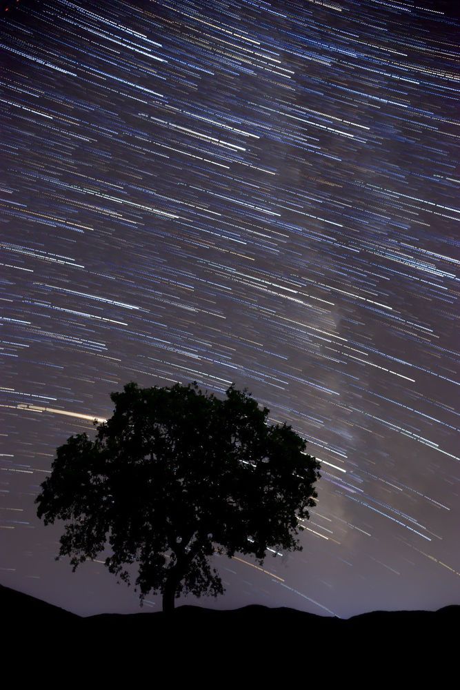 Photograph by Bayazidi Michael