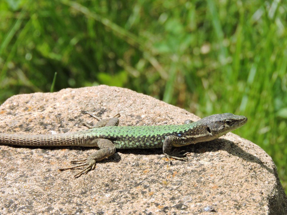 Photograph by Анна Панкратова