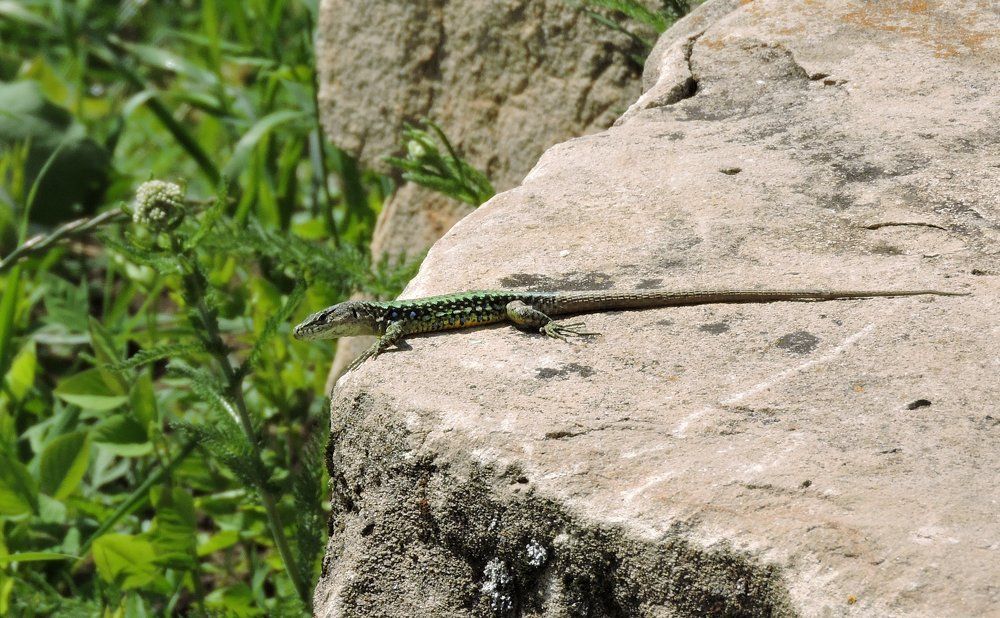 Photograph by Анна Панкратова