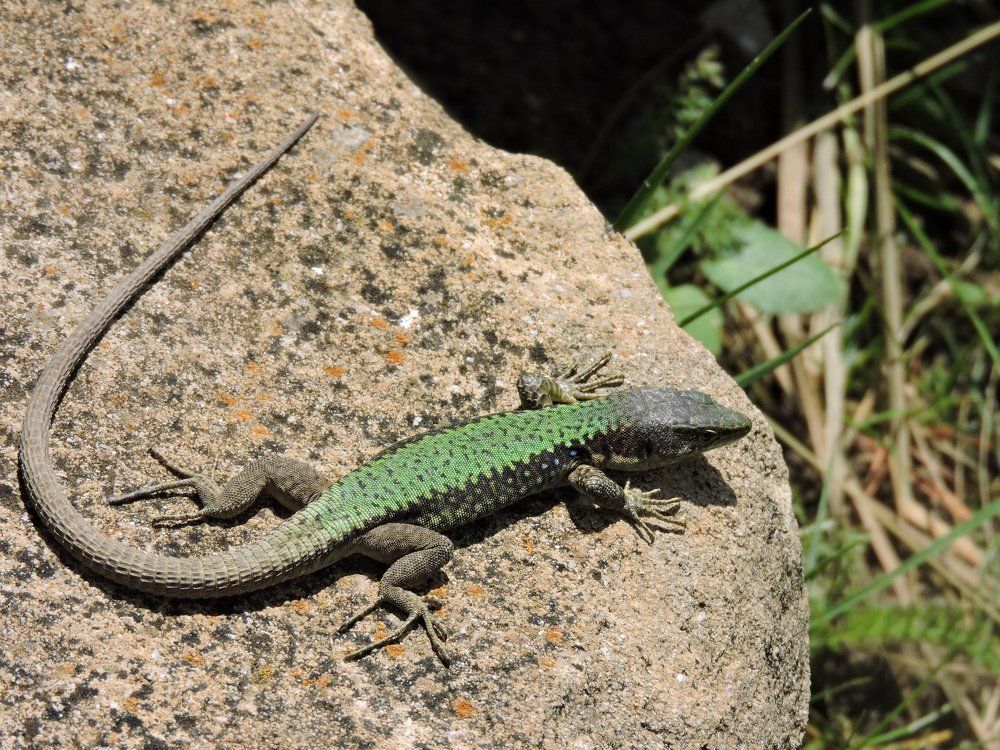 Photograph by Анна Панкратова