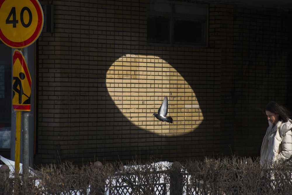 Photograph by Денис Духовник