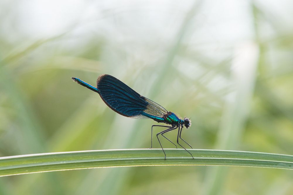 Photograph by Роман Дергунов