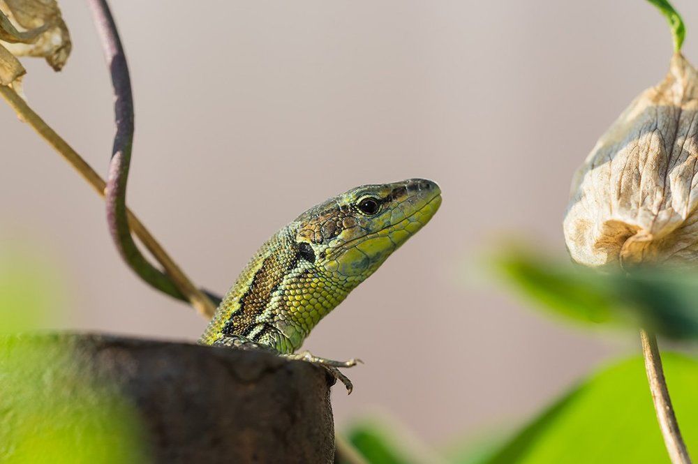 Доброе утро!