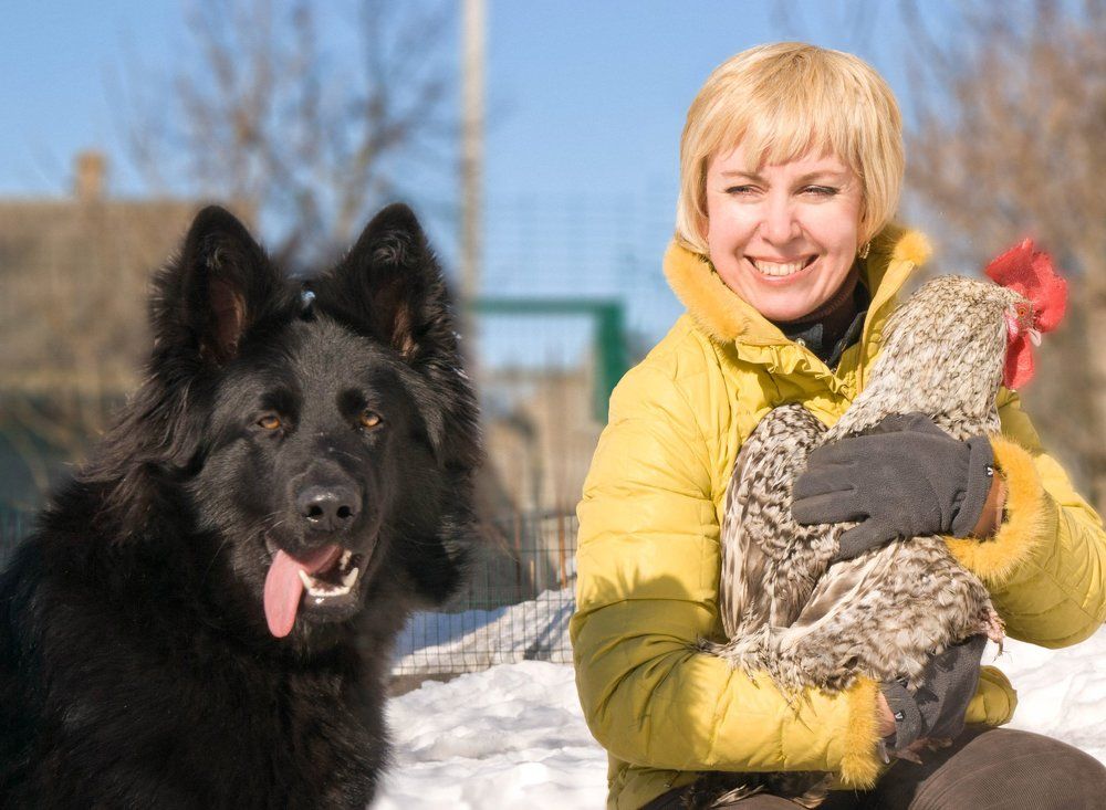 Зимнее солнышко