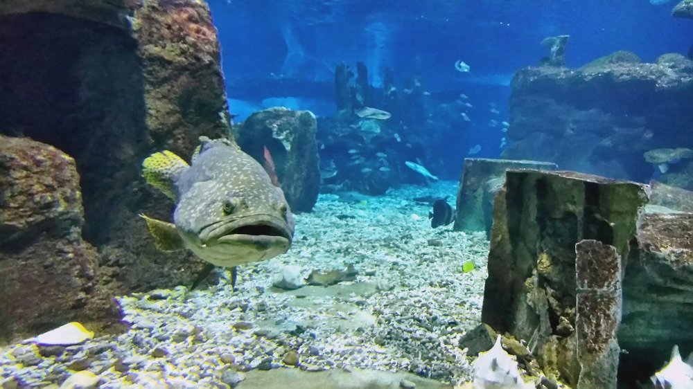 Photograph by Ирина Корнева