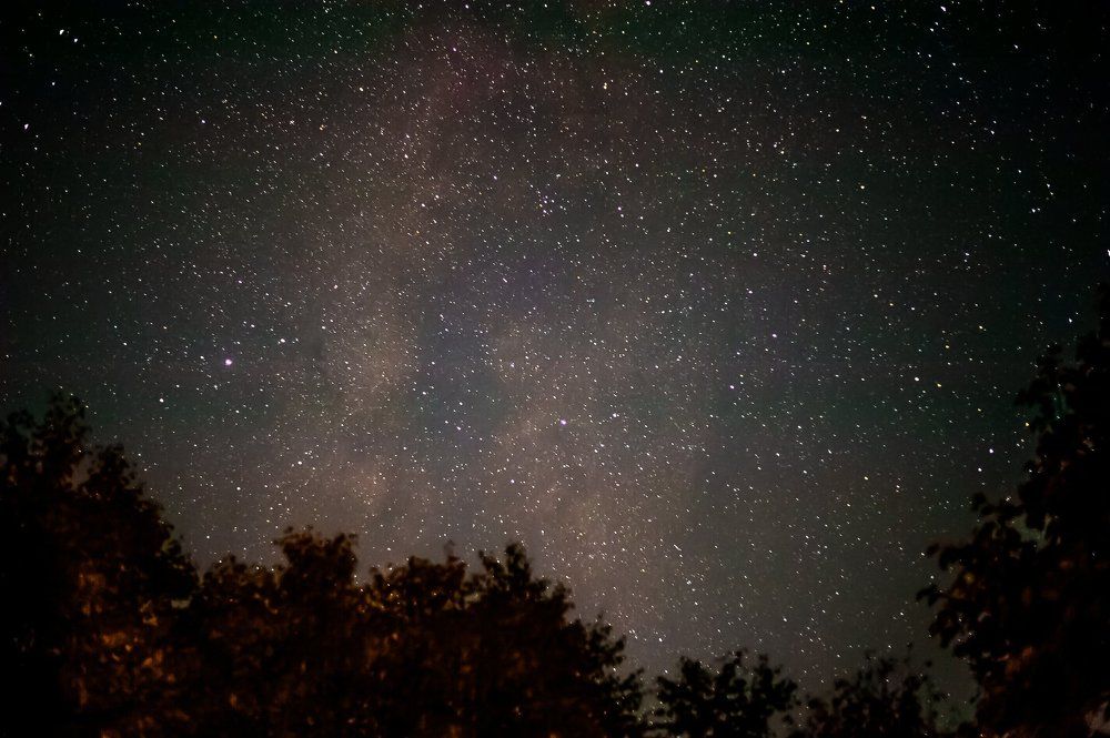 Milky Way in forest