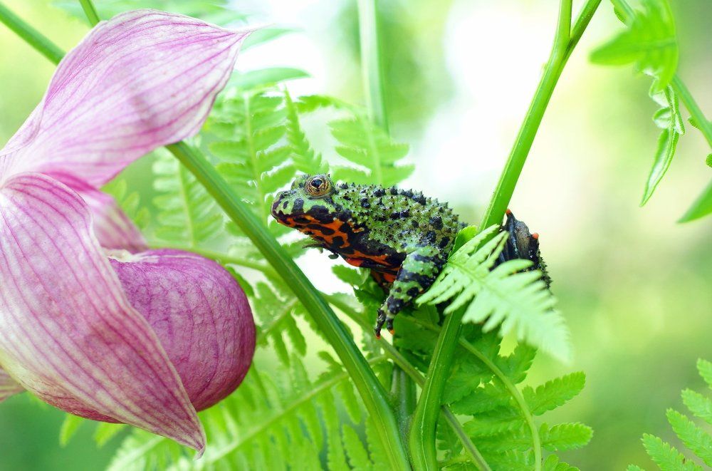 К прекрасному....