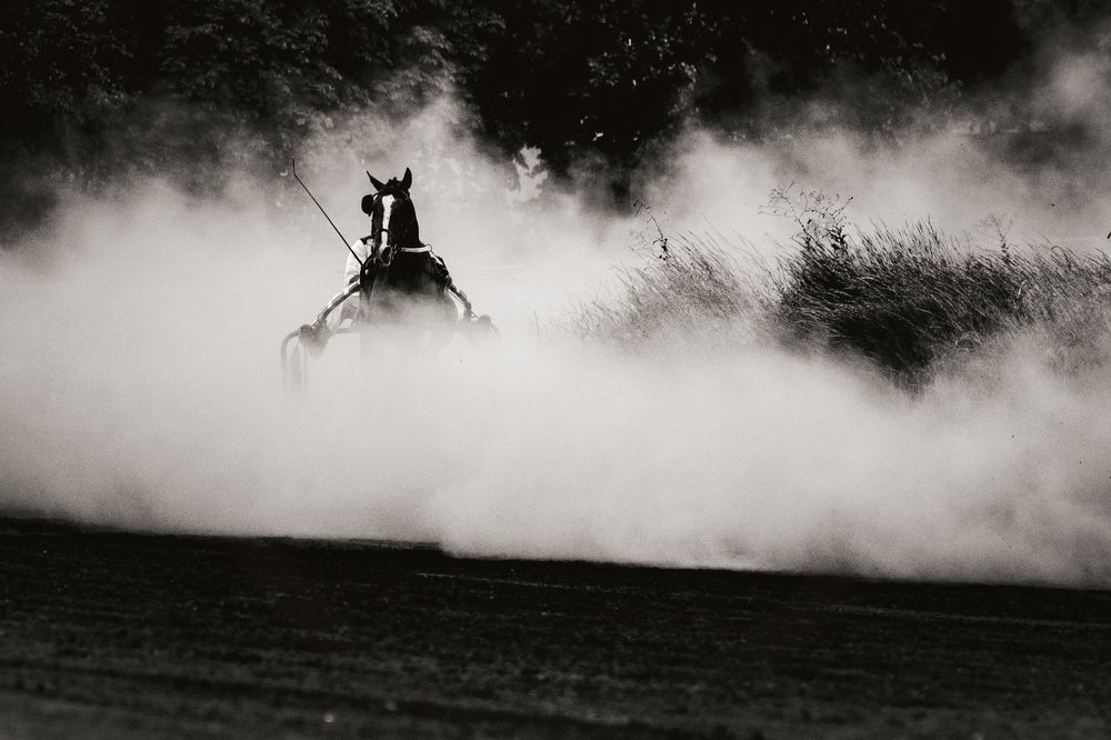 Несущие ветер