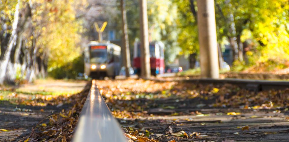 Осень в городе.