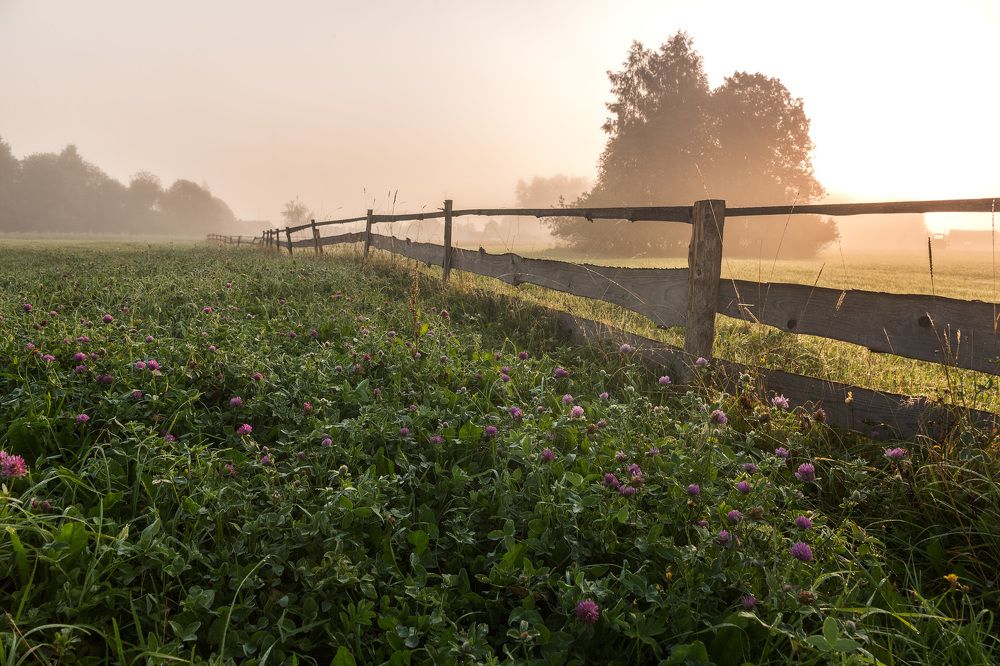 Утро туманное...