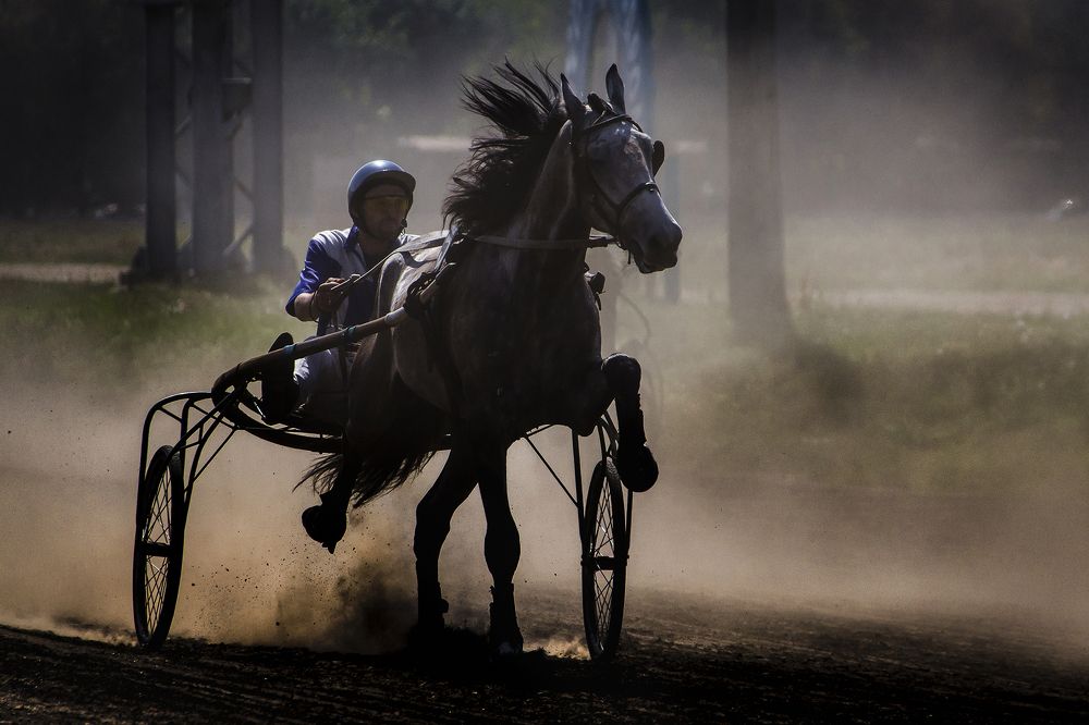 Несущие ветер