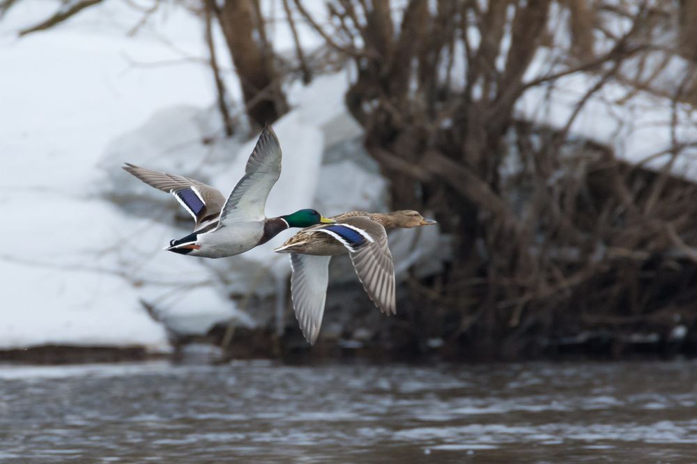 Photograph by Роман Фабричный