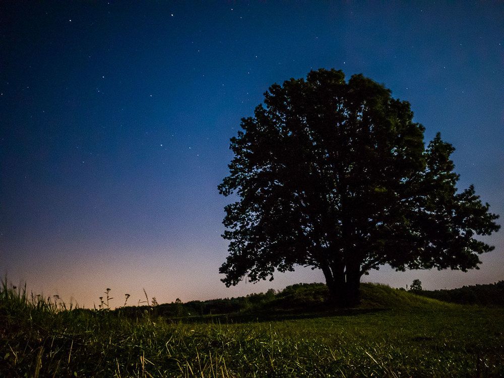 Photograph by Сергей Фомченков