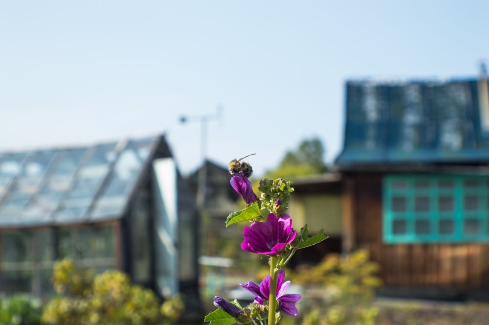 Photograph by Олег Байгозин