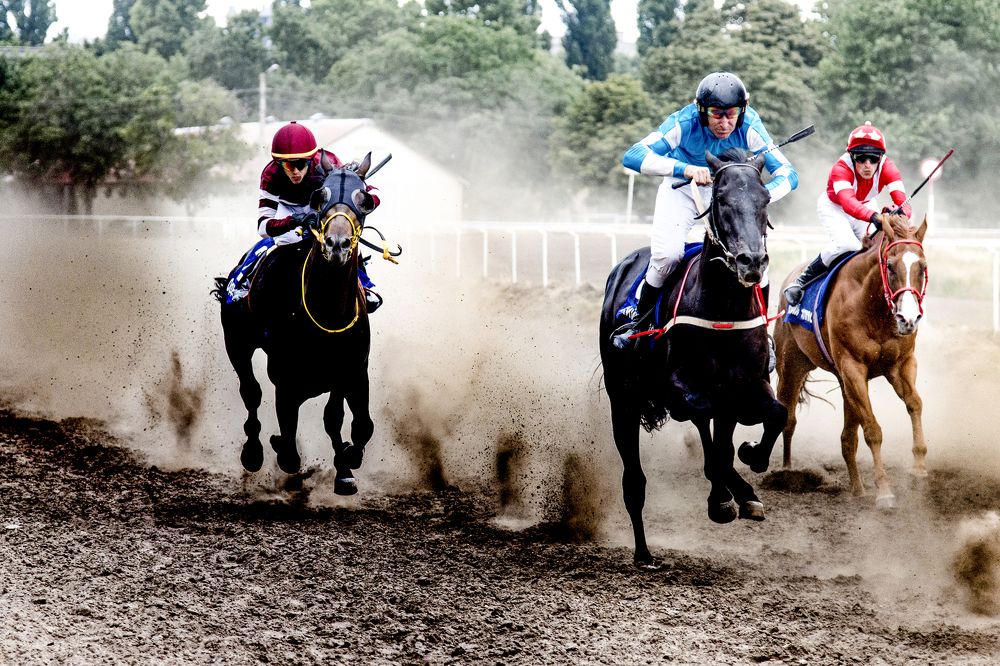 Несущие ветер