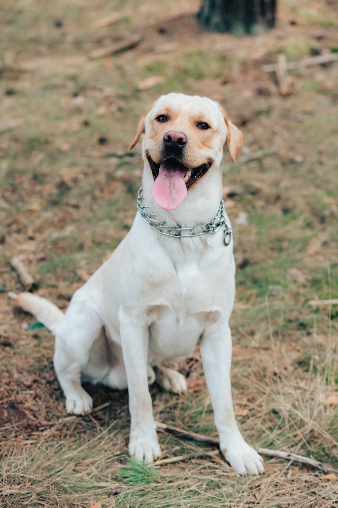 Photograph by Геннадий Климов