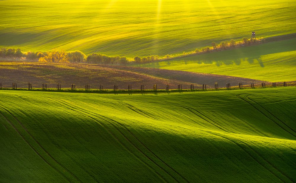 Вельветовые холмы.Моравия.