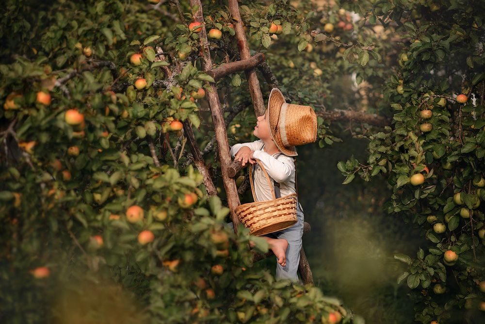 Маленький садовник