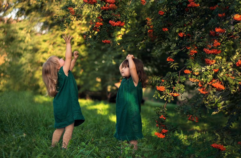 Photograph by Ольга