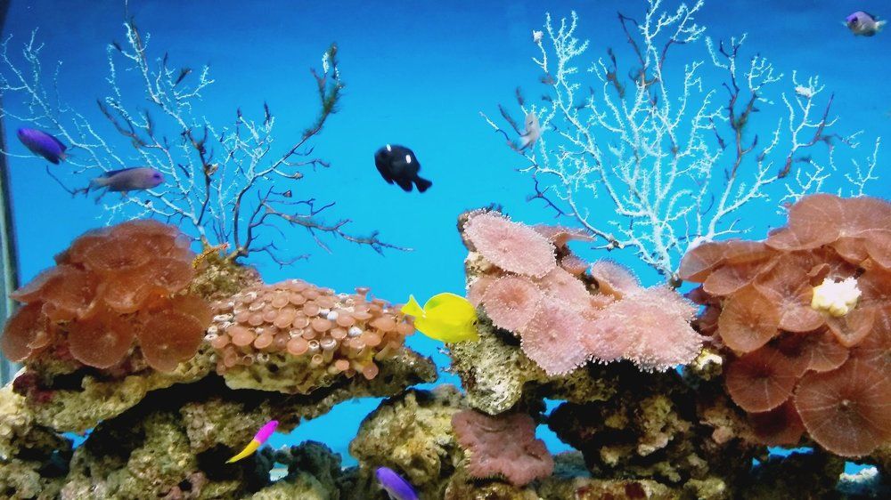 Photograph by Ирина Корнева