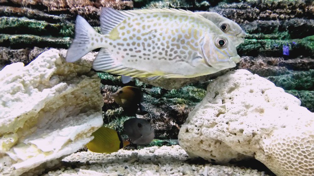 Photograph by Ирина Корнева