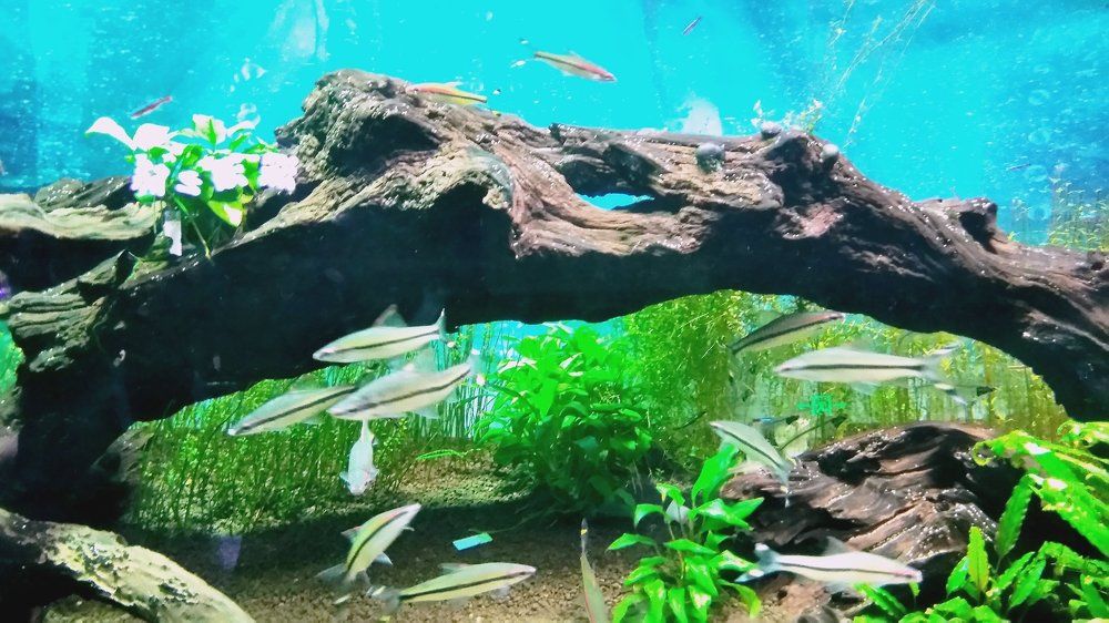 Photograph by Ирина Корнева