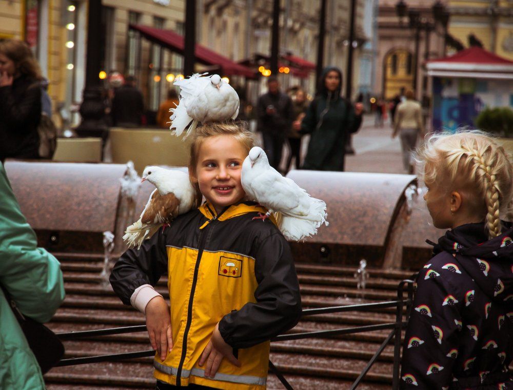 Дети и голуби