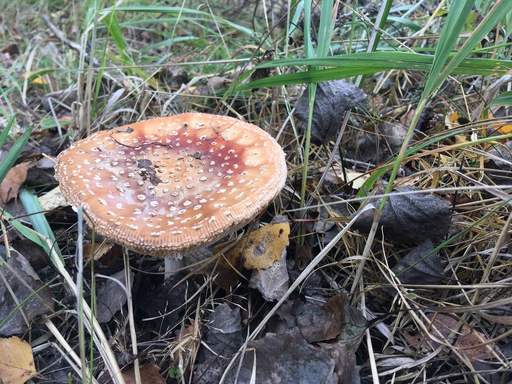 Одиночество