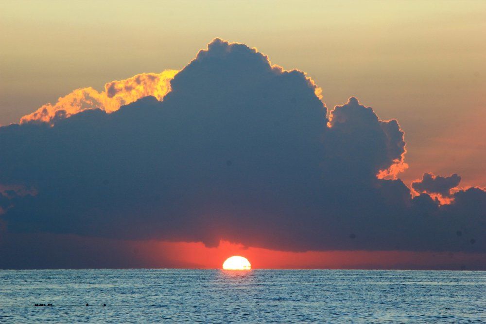 Наша любимая звезда